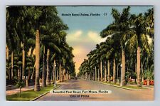 Fort Myers FL-Florida, First Street, Stately Royal Palm, Vintage c1942 Postcard picture