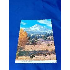 Mount Hood Oregon postcard chrome divided back scalloped edges picture