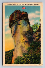Chimney Rock Western North Carolina Postcard c1939 picture