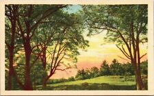 Vintage Linen Postcard - Landscape Unposted Divided Back picture