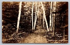 Postcard MI Long Point Michigan Path Through Birch Trees RPPC Real Photo AN21 picture