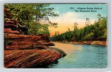 Dells Of WI WI-Wisconsin, Alligator Rocks Vintage Souvenir Postcard picture