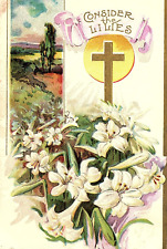 1909 EASTER CONSIDER THE LILLIES CROSS RELIGIOUS BUFFALO EMBOSSED POSTCARD P336 picture