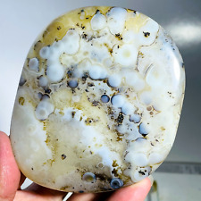 249g Magic Circle Dendritic Agate Crystal Palm Stone Picture Landscape Healing picture