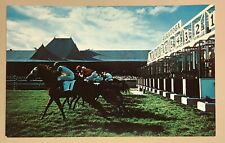 Postcard Saratoga Thoroughbred Horse Racing Course Saratoga Springs NY c1960 picture