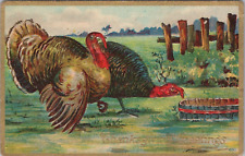 c1910 Thanksgiving Greetings Turkeys ~Embossed Colorful Vintage Postcard picture