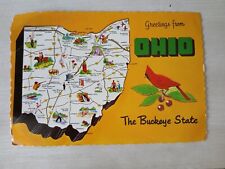 Ohio Buckeye State Map LARGE LETTER Linen Postcard picture