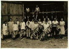 Tobacco,Wetstone Farm,Vernon,Connecticut,Lewis Wickes Hine,August 1917 picture