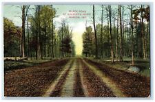 c1910 Black Road at Soldier's Home Marion Indiana IN Antique Postcard picture
