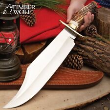 Huge Timber Wolf King Stag Antler Crown fixed blade Knife w/Leather Sheath picture