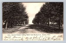 Stanton MI-Michigan, Lincoln Avenue Looking North, Vintage c1909 Postcard picture