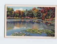 Postcard Lily Pads Lake Nature Landscape Scenery picture