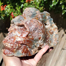 Large Red Moss Agate Skull Crystal Carving | 1620 grams | 3lbs 9oz picture