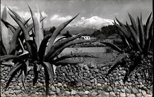 RPPC El Ixtaccihuatl Iztaccihuatl Mexico ~ 1950-now real photo postcard picture