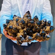 25LB Large Natural Black Quartz Pineapple Crystal Cluster mineral specimen picture