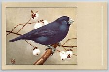 Southern Blue Grosbeak Bird P. Sluis Series 1 No 6 Vtg 1959 Postcard C3 picture