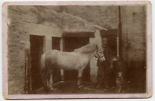 Farmer with Horse and Dog Vintage Photo by Whitham , Rochdale , Manchester UK picture