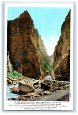 c1920s Shoshone Canyon, Buffalo Bill, Cody Road to Yellowstone Nat Park Postcard picture