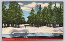 Deep Snow on Springs Park Grounds Manistique Mi Linen Postcard No 4800 picture