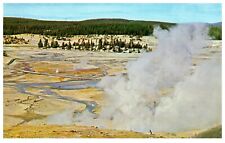 Norris Geyser Basin Yellowstone Park along Basin Trail  picture