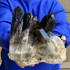 8.22LB Large Himalayan quartz cluster/black crystal ore Earth specimen picture