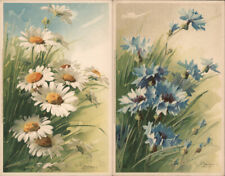 C. Klein Set of 2 Klein Flowers Postcard Vintage Post Card picture