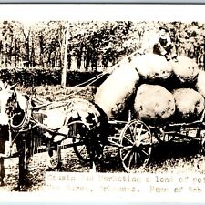 c1940s Van Buren AK RPPC Cousin Fud Marketing Exaggerated Potatoes Arkansas A209 picture