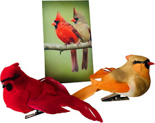 Westmon Works Cardinal Decor Set with Clip Male and Female Love Bird Cardinals w picture