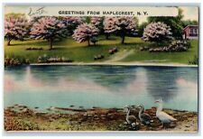 1945 Greetings From Maplecrest New York N, Ducks River Blossom Tree Postcard picture