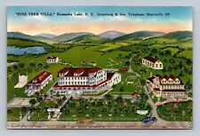 Vintage Postcard Pine Tree Villa Greenberg Son Telephone Kiamesha Lake New York picture