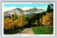 Rocky Mountain National Park, Longs Peak, Estes Park, Antique, Vintage Postcard picture