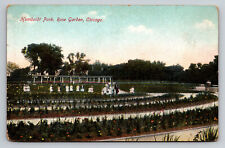 Chicago Illinois Humboldt Park Rose Garden IL Postcard picture
