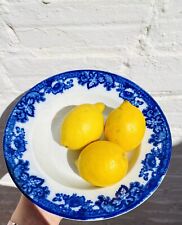 Antique Decorative Plate Charger, Blue White, Spanish, Ceramic Porcelain picture