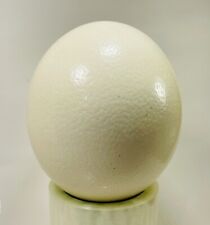 Large Ostrich Egg Shell 6” picture