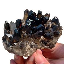 398G Natural smoked black crystal dot column cluster quartz ore specimen heal picture