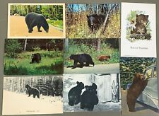 # T3800     BEARS  POSTCARD LOT,   8  DIF. CARDS picture