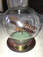 MAYFLOWER Hand Blown GLASS Collection BRISTOL BULLDOG Figurine GLOBE Wood Base picture