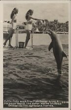 Lot 2 RPPC 1940's Postcards Marine Studios Marineland Florida Feeding Porpoises picture