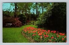 Jefferson Island LA-Louisiana, Tulip Time Rip Van Winkle Garden Vintage Postcard picture