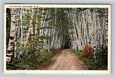 Marlboro NH, The Birches, New Hampshire c1923 Vintage Postcard picture
