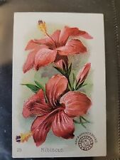 Set of 52/60 Old 1880's BEAUTIFUL FLOWERS  Arm & Hammer Trade CARDS Church & Co picture