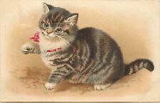 Embossed Postcard; Tabby & White Cat w/ Red Bow, Dorothy Travers Pope, AMB picture