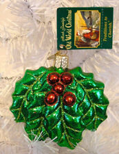 2007 - HOLLY - OLD WORLD CHRISTMAS -BLOWN GLASS ORNAMENT NEW W/TAG picture