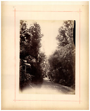 Rush Road, photo. J.R (to identify) Vintage Print, 24.5x3 Albuminated Print picture