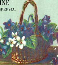 1880s Gastrine Quack Medicine Basket Of Violets Fab P171 picture