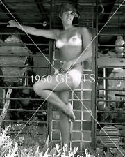 1960s Photo Print Big Breasts Brunette Liz Shaver Art LS9 picture
