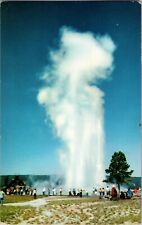 Vtg 1968 Old Faithful Geyser Postcard Photo Postmarked Yellowstone picture