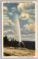Lone Star Geyser Yellowstone National Park Bozeman Montana VTG Postcard picture