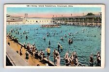 Cincinnati OH-Ohio, Coney Island Natatorium, Antique, Vintage Postcard picture