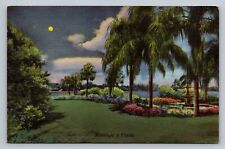 Postcard Florida Night View Moon Palm Trees Linen 1949  E736 picture